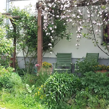 Eifelroschen * Darscheid