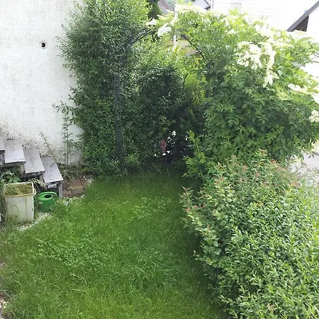 Eifelroschen Apartman *